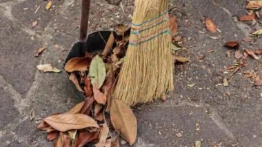 Ekolojik koleksiyon çantası sahnesini bırakır