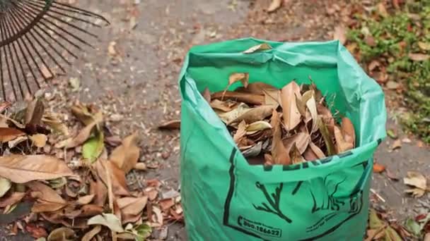 Leaves Ecological Collection Bag Scene — Vídeo de stock