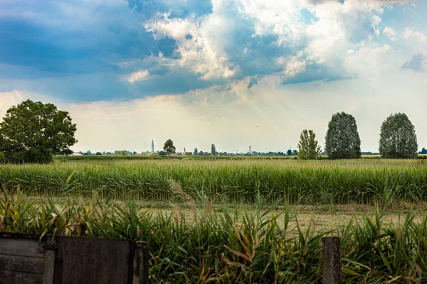 Magnificent Cloudy Sky Fields Scene Summer — Stockfoto