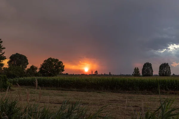 Escena Del Cielo Atardecer Sobre Los Campos Temporada Verano —  Fotos de Stock