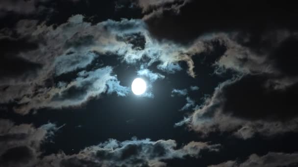 Time Lapse Luna Nuvole Movimento Nella Notte — Video Stock