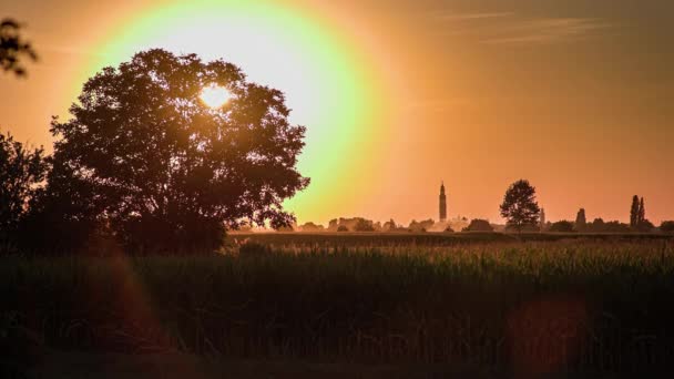 Orange Sunset Landscape Country Field — Stockvideo