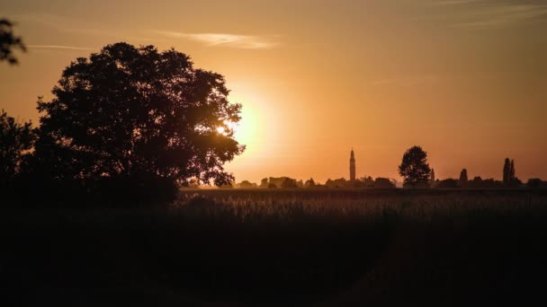 Orange Sunset Landscape Country Field — ストック動画