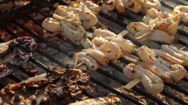 Izgarada ızgara turşulu balık, kazık, alev, kırmızı kömür, duman, yakacak odun, aşçının elleri kömür, ultra HD kalite, 4K video.