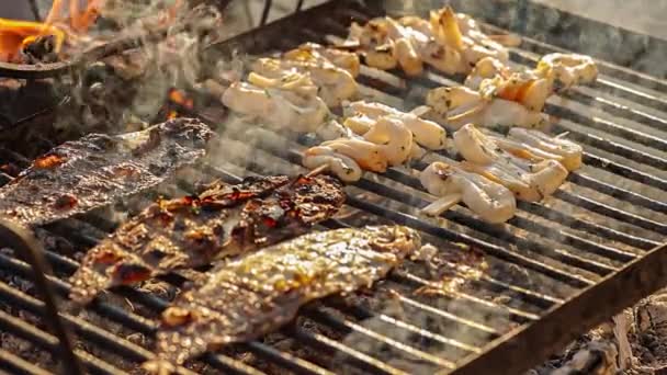 Grill Pickled Fish Stake Flame Red Coals Smoke Firewood Hands — Vídeo de Stock