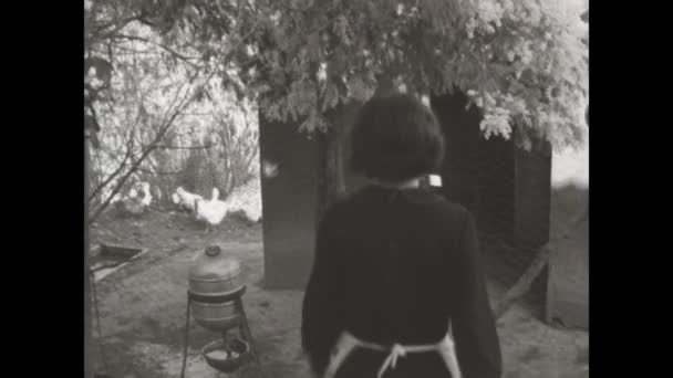 Mantova Italy March 1963 Girl Takes Eggs Chicken Coop Scene — 图库视频影像