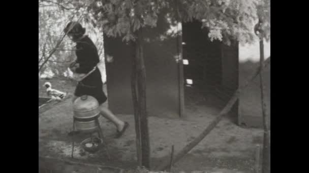 Mantova Italy March 1963 Girl Takes Eggs Chicken Coop Scene — ストック動画