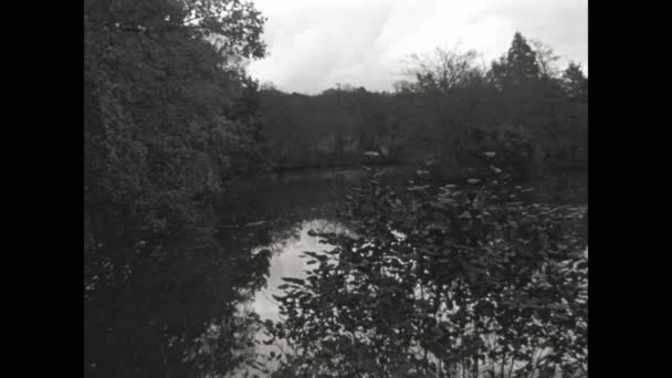 Clayette France April 1954 Pond Woods Scene 50S Shot Black — Vídeos de Stock