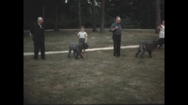 Paris France May 1954 Dog Show Scene Rich People 50S — 图库视频影像