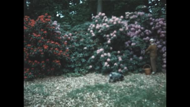 Parijs Frankrijk Mei 1954 Bloeiende Struiken Tuin Jaren — Stockvideo