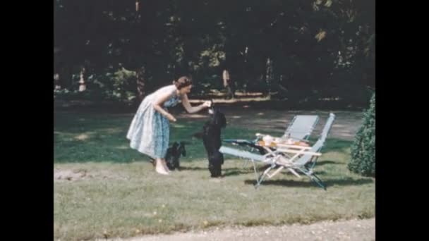 Normandy France May 1964 Woman Dog Domestic Scene 60S — Vídeo de stock