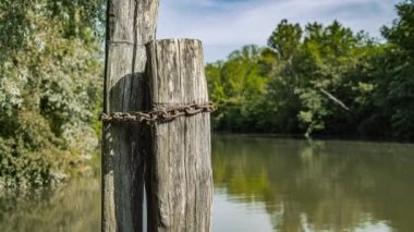 A chain tied to the tree trunk at the Po river Nature reserves in Italy Europe