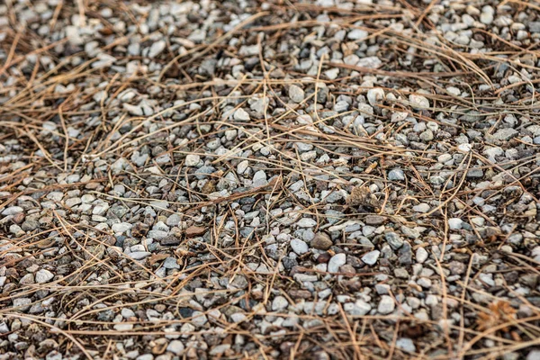 Detail Gravel Texture Pavement — Fotografia de Stock