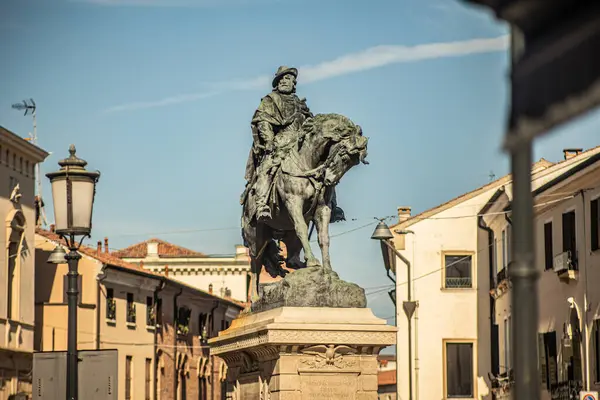 Rovigo Italy Horse Statue Garibaldi — Stock fotografie