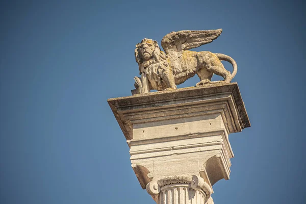 Mark Winged Lion Statue Italian Stele Rovigo — Stock Photo, Image