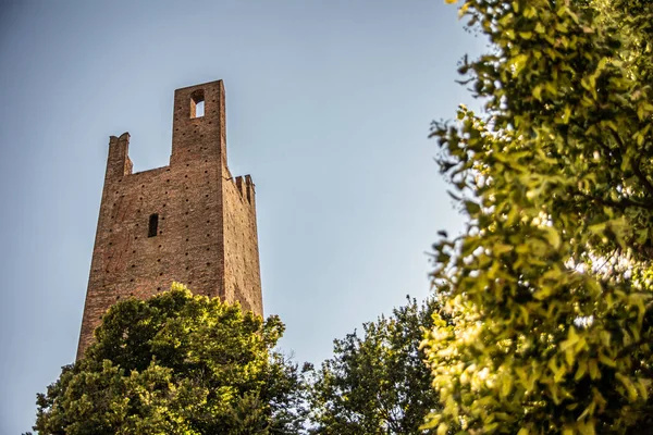Tower Dona Torre Dona City Rovigo Blue Sky Italy — 图库照片
