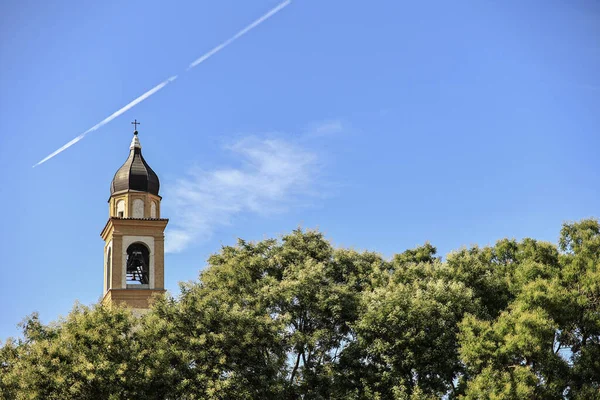 Church Bell Tower Trees Rovigo Italy — Stock Fotó