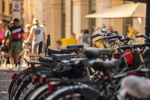 Rovigo Italy July 2022 Bicycles Bike Sharing Detail — Stock Photo, Image