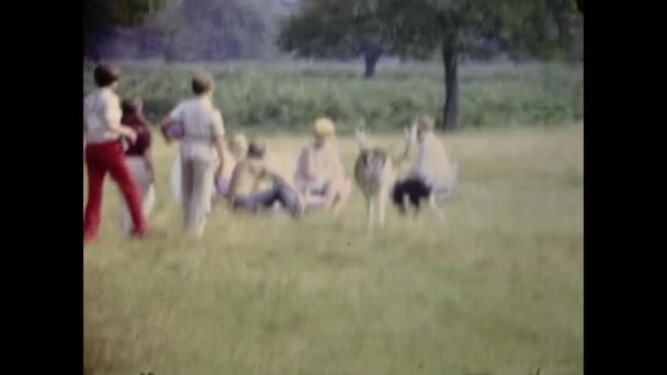 London United Kingdom May 1963 People Deer Scene Park 60S — Video Stock