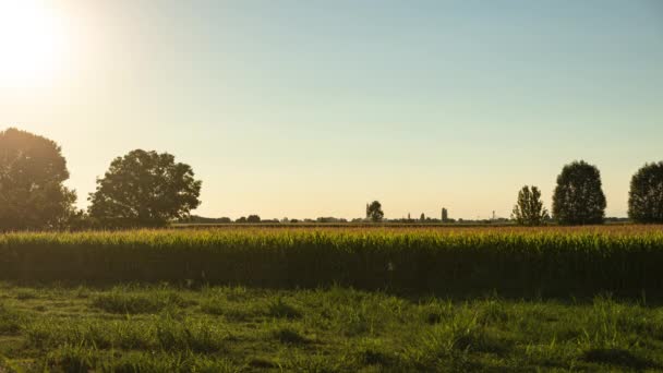 Time Lapse Shot Beautiful Sunset Countryside — 图库视频影像