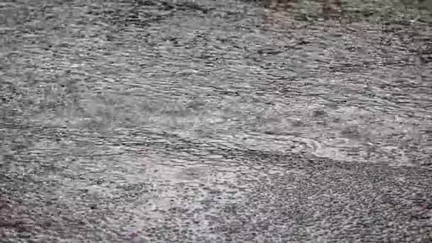 Close Drops Summer Autumn Rain Water Fall Asphalt City — Stockvideo