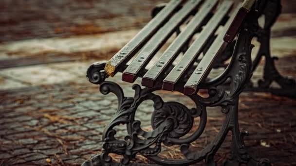 Empty Public Park Wooden Bench Detail Shot — Stockvideo