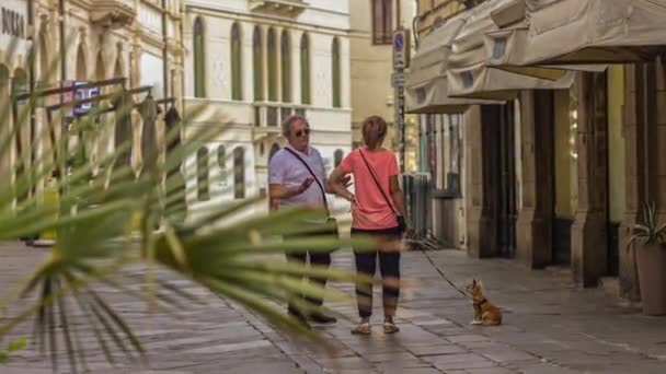 Rovigo Italy August 2022 Man Woman Meets Talk City Scene — Wideo stockowe