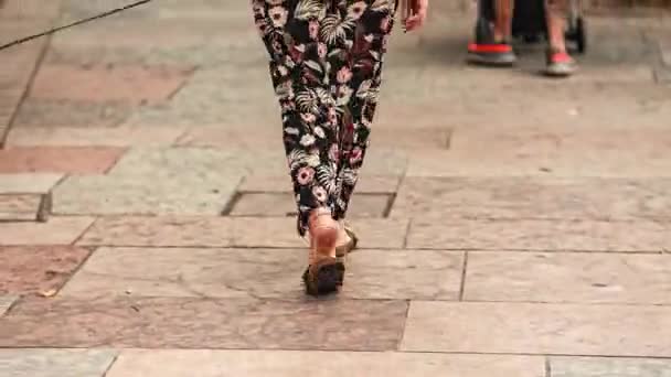 Rovigo Ιταλία August 2022 Γυναίκα Που Περπατάει Σκύλο Στην Πόλη — Αρχείο Βίντεο