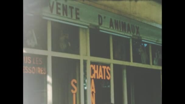 Париж Франція 1965 Зовнішня Сцена Магазині Пет — стокове відео