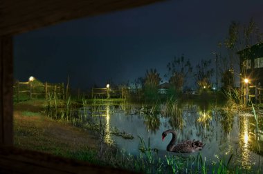 Küçük sihirli gölet bir peri masalı manzara yapmak çok özel ışıklar tarafından aydınlatılmış gece boyunca devam etti ...