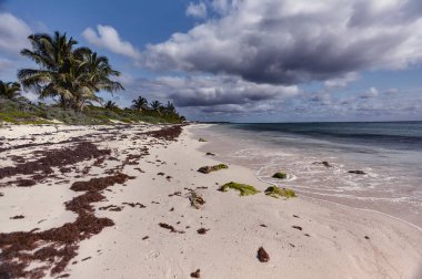 Güneşli bir günde Meksika 'daki Xpu-Ha plajının geniş açılı görüntüsü. Dağınık bulutlar bazen ışığı kaplıyor..