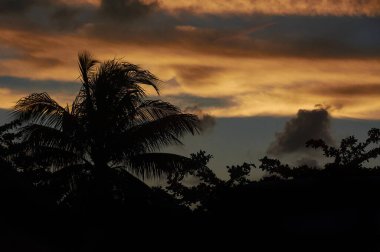 Palmiye ağaçlarının silueti Meksika 'daki Xpu-Ha plajında muhteşem bir günbatımının arka planına karşı..