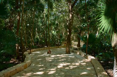Palmiye ağaçları ve Meksika Maya Rivierası'nın çeşitli bitki örtüsü tarafından kurulan bir tropikal orman çevrili küçük taş yolu.
