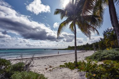 Palmiye ve bitki örtüsü ile filtrelenmiş Xpu-Ha plajı manzarası.
