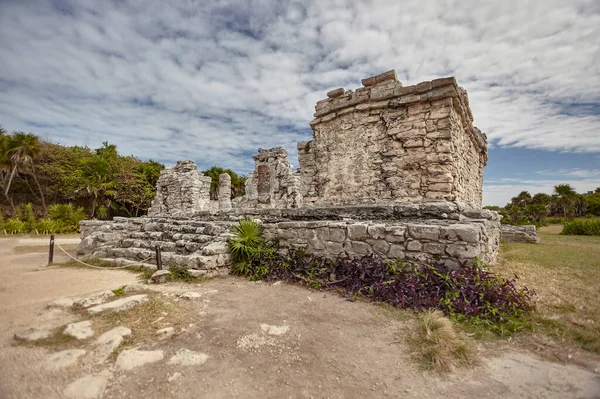 Vista Lateral Los Restos Pequeño Templo Maya Complejo Tulum México —  Fotos de Stock