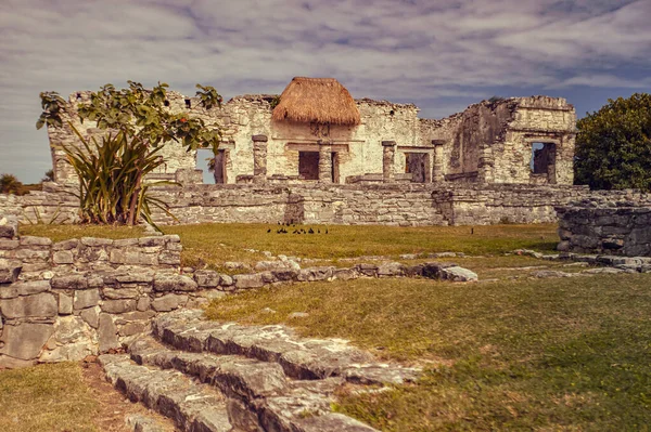 メキシコのトゥルム地区にある小さなマヤ寺院の遺跡の側面図日没時に撮影 — ストック写真