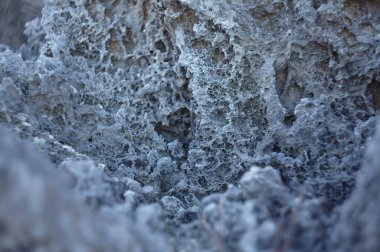 Meksika 'daki Maya Rivierası' nın tipik bir kireçtaşı kayasının detayları.