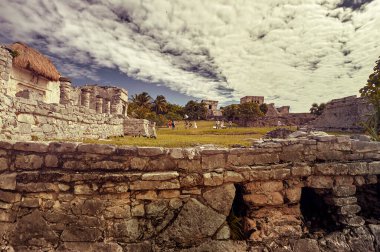 Maya binasının kalıntıları yeşil bir çayıra gömüldü: Meksika 'daki Tulum' daki Maya kompleksinin bazı bölümlerinin görüntüsü