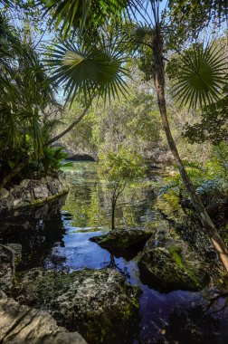 Cenote Azul natural wonder in Mexico
