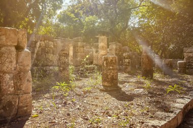 Detail of some columns dating back to a Mayan building in the Chichen Itzacomplex in Mexico