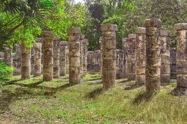 Meksika 'daki Chichen Itza arkeolojik kompleksindeki Savaşçılar Tapınağı sütunlarının bitki örtüsüyle filtrelenmiş.