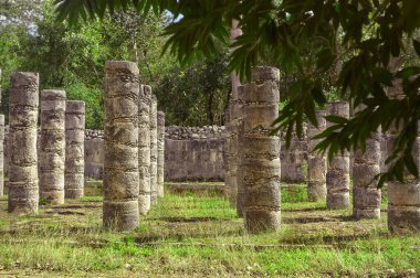 Meksika 'daki Chichen Itza arkeolojik kompleksindeki Savaşçılar Tapınağı sütunlarının bitki örtüsüyle filtrelenmiş.