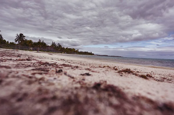 メキシコの白い砂とXpu Haビーチの地面からの眺め — ストック写真