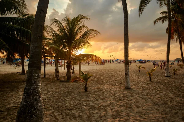 Filtrowany Widok Palm Plaży Isla Mujeres Zachodzie Słońca — Zdjęcie stockowe