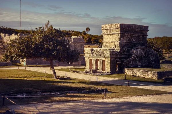 Ruinas Del Edificio Maya Inmersas Prado Verde Vista Algunas Partes —  Fotos de Stock