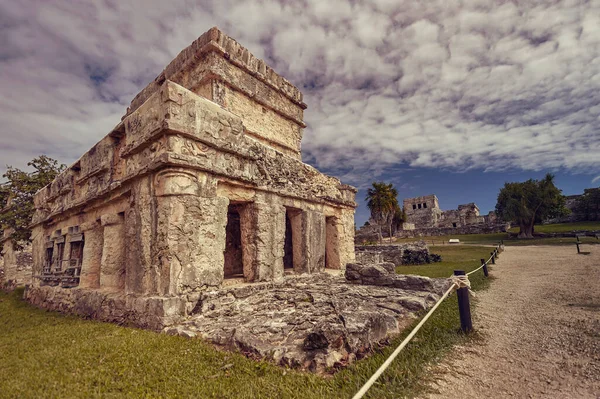 緑の草原に浸漬マヤの建物の遺跡 メキシコのトゥルムでマヤの複合体のいくつかの部分のビュー — ストック写真