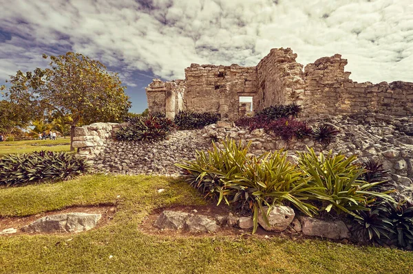 Руины Здания Майя Погруженные Зеленый Луг Вид Некоторые Части Комплекса — стоковое фото