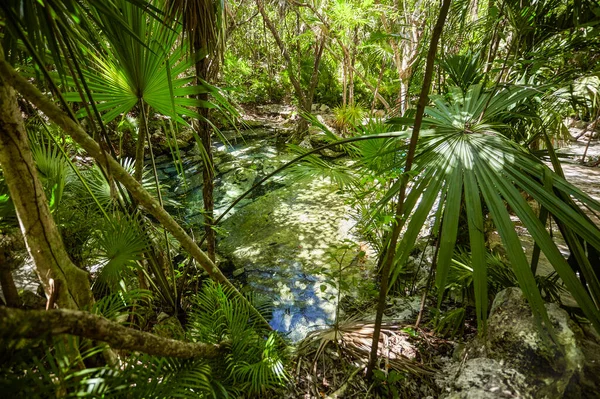 Cenote Azul Natural Wonder Mexico — ストック写真