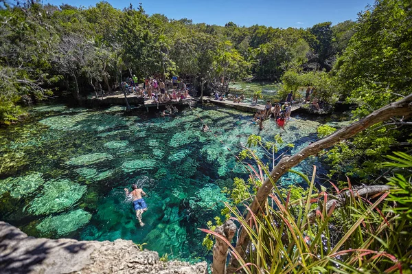Cenote Azul Natural Wonder Mexico - Stock-foto