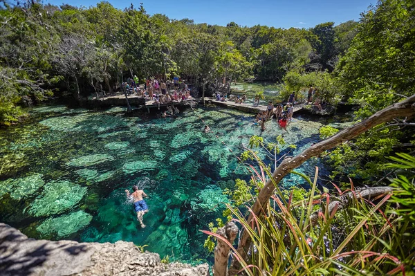 Cenote Azul Natural Wonder Mexico — Stockfoto